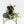 Epipremnum Teruno 'Love Song' (wk34-L61)