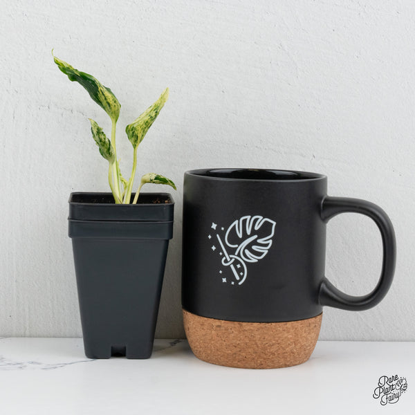 Epipremnum Teruno 'Love Song' (wk1-A)