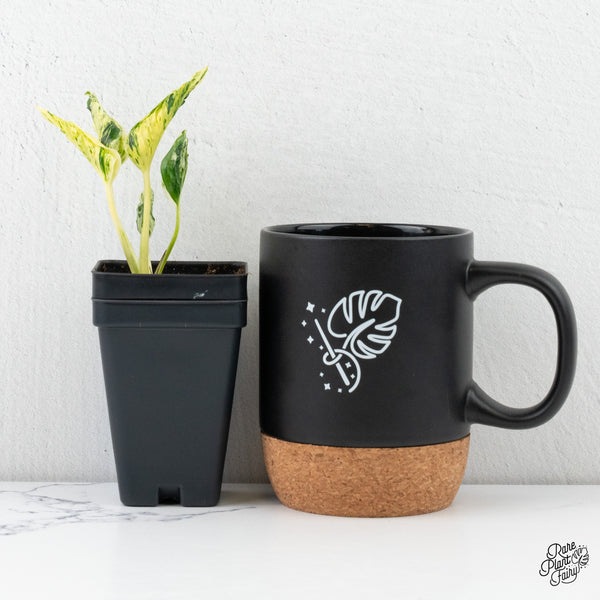 Epipremnum Teruno 'Love Song' (wk4-G)