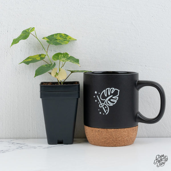 Fallopia Multiflora Aurea Variegated (wk1-I)