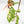 Fallopia Multiflora Albo/Pink Variegated (wk19-P)