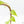 Fallopia Multiflora Aurea Variegated (wk21-B)