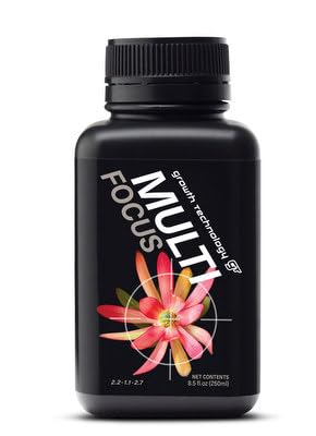 Multi Focus Growth Technology