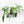 Philodendron 'Belle Isle' *Grower's choice*