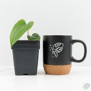 Anthurium magnificum × sp. trilobum *Grower's Choice*