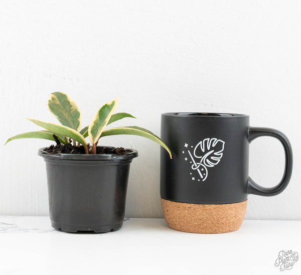 Hoya 'Krimson Queen' *Grower's Choice*