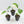 Syngonium chiapense albo variegated *Grower's Choice*