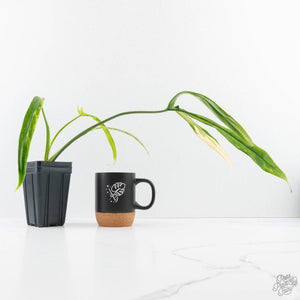 philodendron holtonianum variegated Philodendron holtonianum variegated *Grower's Choice* – Rare Plant Fairy