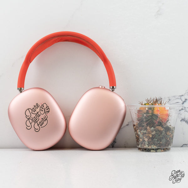 Gymnocalycium Mihanovichii Variegated Cactus *Grower's choice*