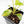 Homalomena Rubescens Aurea Variegated (wk29-D)