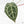 Anthurium Home, Sweet Home '32' x Dark & Handsome '9' by DocBlock® (wk19-N)