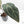Anthurium Home, Sweet Home '32' x Dark & Handsome '9' by DocBlock® (wk29-C)