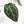 Anthurium Michelle Hot Pink '23' x Zara '14' by DocBlock® (wk22-U)