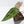 Anthurium Michelle Hot Pink '23' x Zara '14' by DocBlock® (wk33-L35)