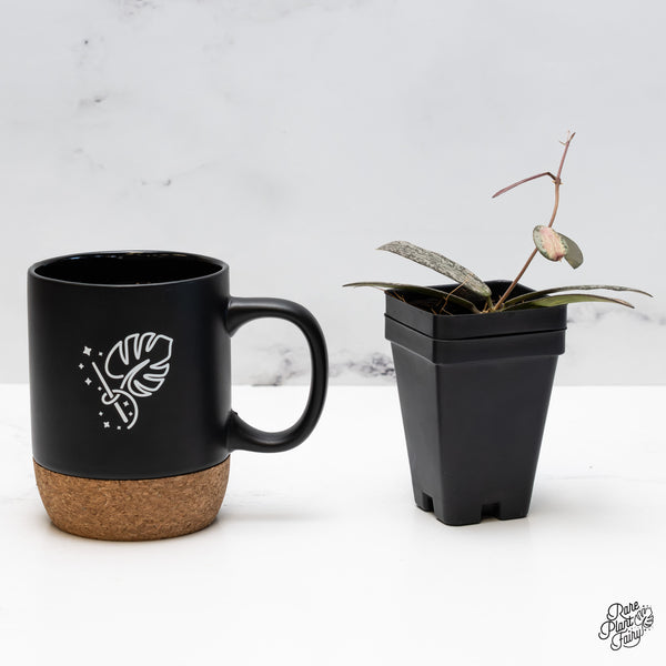 Hoya sigillatis inner variegated *Grower's Choice*