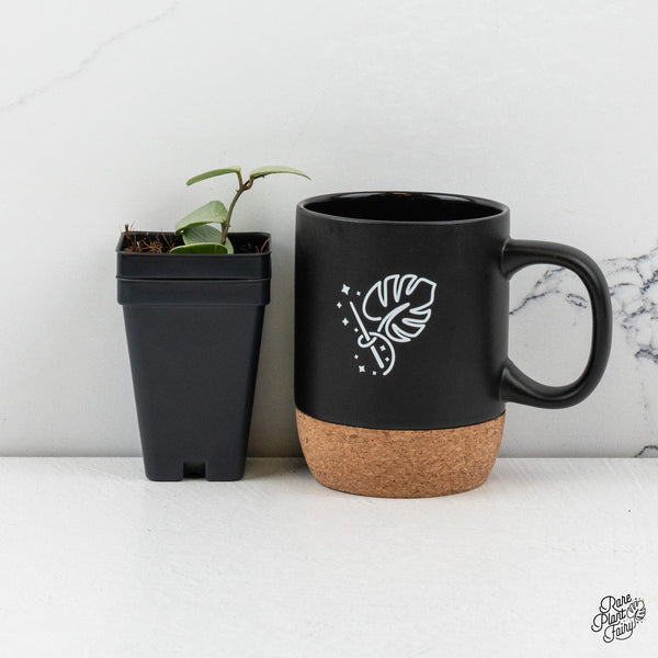 Hoya Mathilde Silver 'Grey Fairy' (wk50-F)