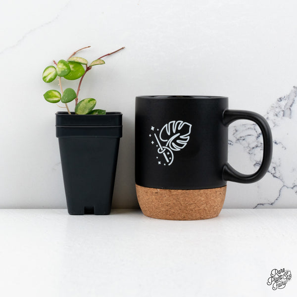 Hoya 'Mathilde' Inner Variegated (wk42-B)