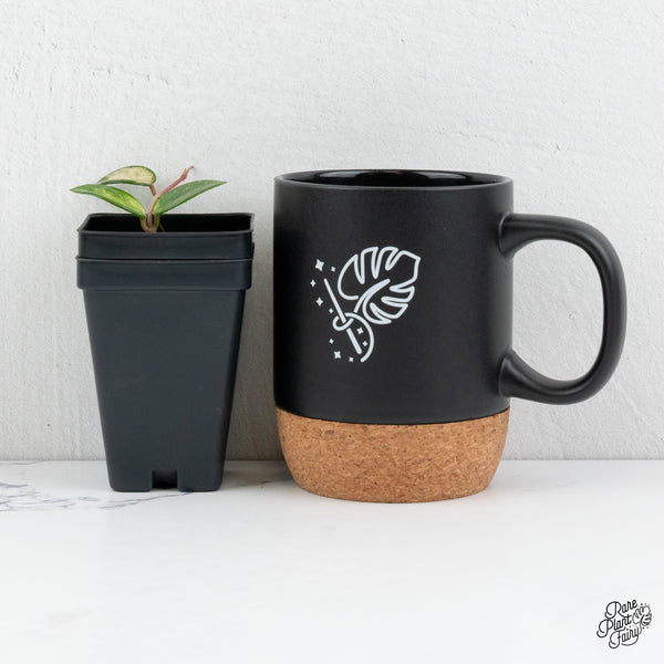 Hoya 'Mathilde' Inner Variegated (wk1-H)