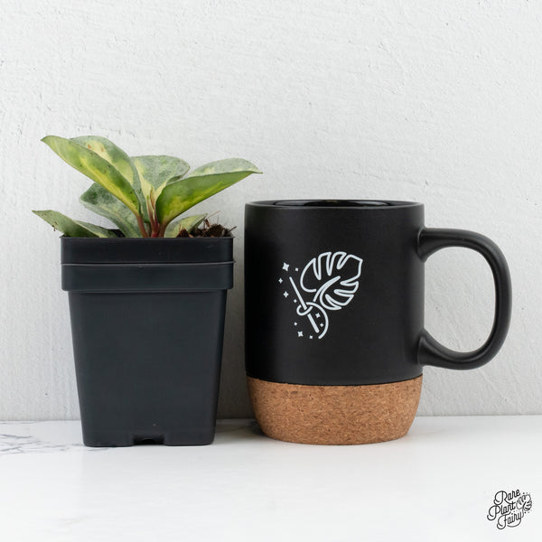 Hoya Carnosa 'Argentea Princess' by Kunzo (wk3-H)