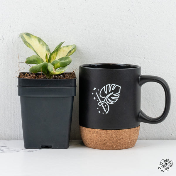 Hoya Carnosa 'Argentea Princess' by Kunzo (wk4-A)