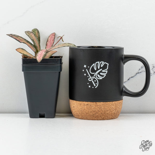 Hoya Sigillatis Inner Variegated (wk50-D)