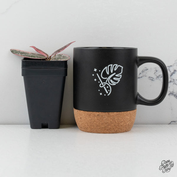 Hoya Sigillatis Outer Variegated (wk45-B)