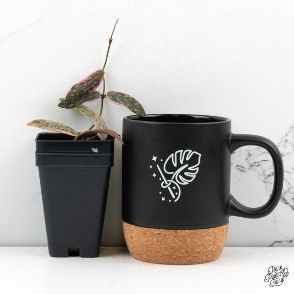 Hoya Sigillatis Outer Variegated (wk48-G)