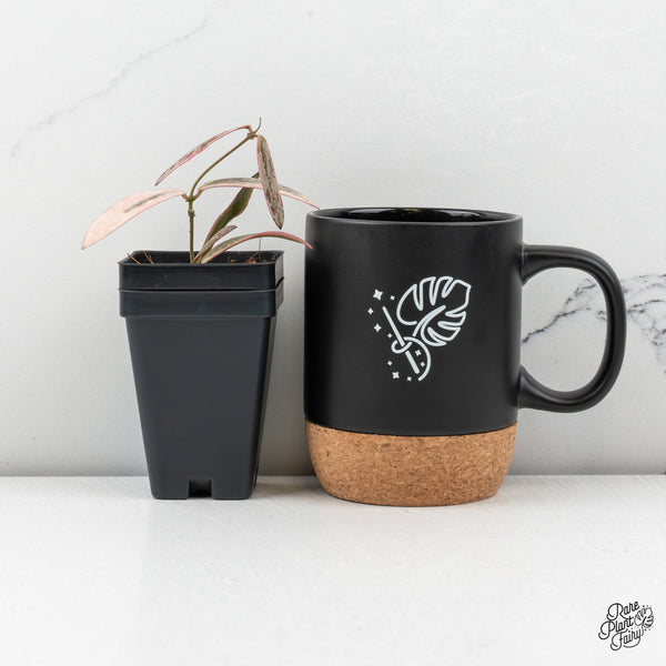 Hoya Sigillatis Outer Variegated (wk50-C)