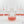 RPF Labs Multiplication Media (12 count)