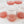 RPF Labs Multiplication Media (12 count)