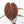 Anthurium 'Luxurians' x ('Zara' x 'Michelle') by DocBlock® (wk20-X)
