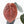 Anthurium 'Luxurians' x ('Zara' x 'Michelle') by DocBlock® (wk21-D)