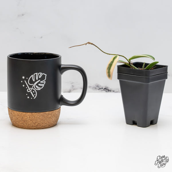 Hoya 'Lyi prism' Pink Flower *Grower's Choice*