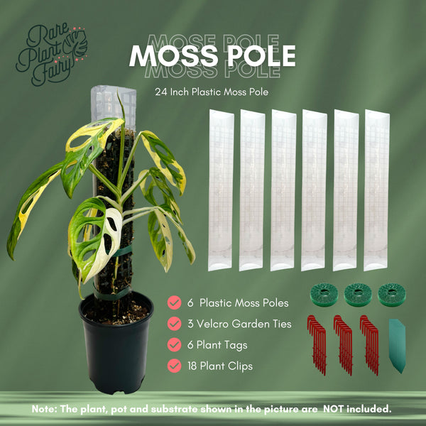 D-Shaped Moss Pole Set for Plants - 24 Inch, 6 pcs with Velcro Ties, Plant Tags, and Clips