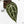 Anthurium Michelle '10' x Home, Sweet Home '32' by DocBlock® (wk18-G)