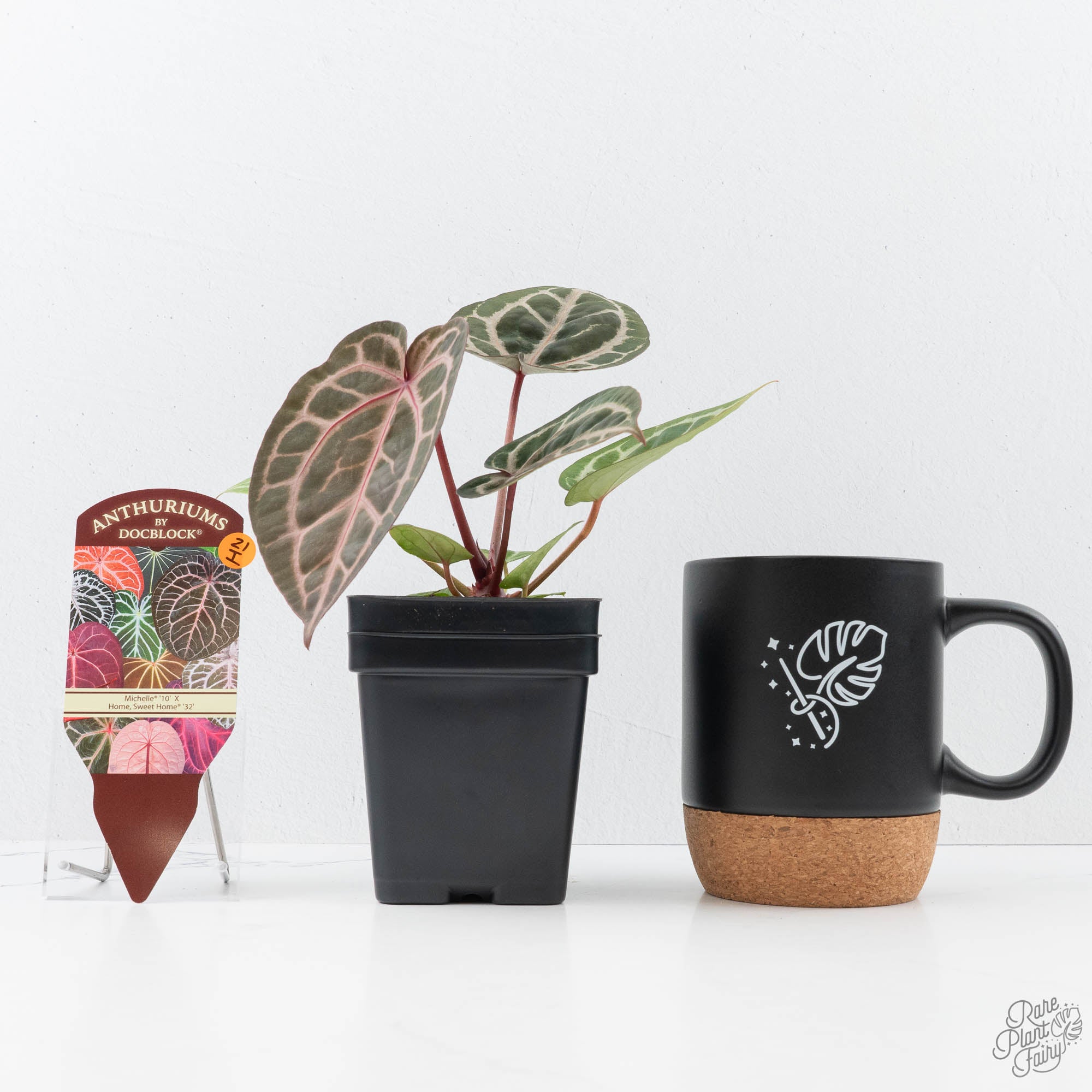 Anthurium Michelle '10' x Home, Sweet Home '32' by DocBlock® (wk21