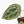 Anthurium Michelle '10' x Home, Sweet Home '32' by DocBlock® (wk24-F)