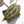 Anthurium Michelle '10' x Home, Sweet Home '32' by DocBlock® (wk24-F)