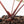 Anthurium Michelle '10' x Home, Sweet Home '32' by DocBlock® (wk24-F)