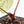 Anthurium Michelle '10' x Home, Sweet Home '32' by DocBlock® (wk25-K)