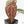 Anthurium Michelle '10' x Home, Sweet Home '32' by DocBlock® (wk26-G)