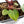 Anthurium Michelle '10' x Home, Sweet Home '32' by DocBlock® (wk28-A)