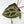 Anthurium Michelle '10' x Home, Sweet Home '32' by DocBlock® (wk29-L)