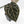 Anthurium Michelle '10' x Home, Sweet Home '32' by DocBlock® (wk30-D)