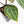 Anthurium Michelle '10' x Home, Sweet Home '32' by DocBlock® (wk33-L36) *Purple Veins*