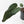 Anthurium Michelle Hot Pink '23' x Red Velvet Cake '24' by DocBlock (wk40-L335)