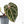 Anthurium Michelle Hot Pink '23' x Zara '14' by DocBlock® (wk21-V)