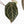 Anthurium Michelle Hot Pink '23' x Zara '14' by DocBlock® (wk34L-192)