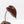 Anthurium Michelle Hot Pink '23' x Zara '14' by DocBlock® (wk37-L145)