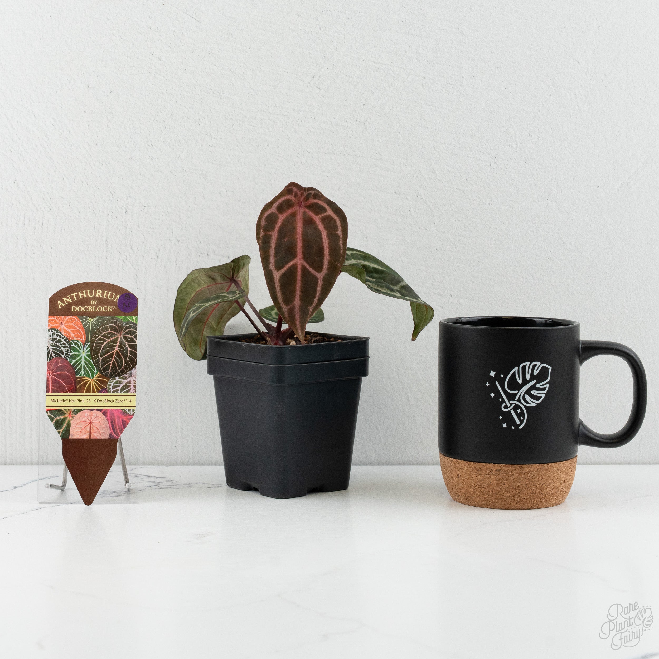 Anthurium Michelle Hot Pink '23' x Zara '14' by DocBlock® (wk8-N